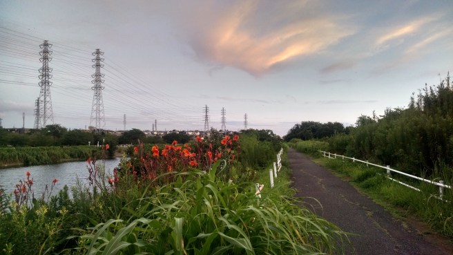 IMG_20160805_184024003_HDR