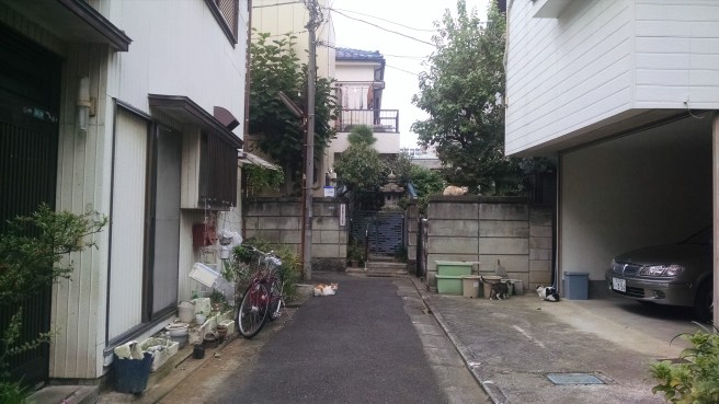 img_20161023_153952704