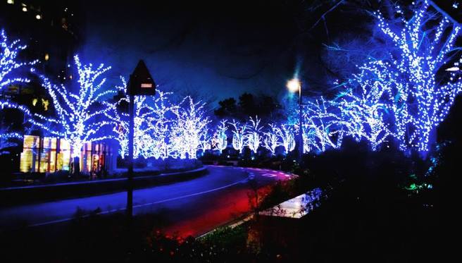 15421043_10157813797980316_5794314547262363243_n